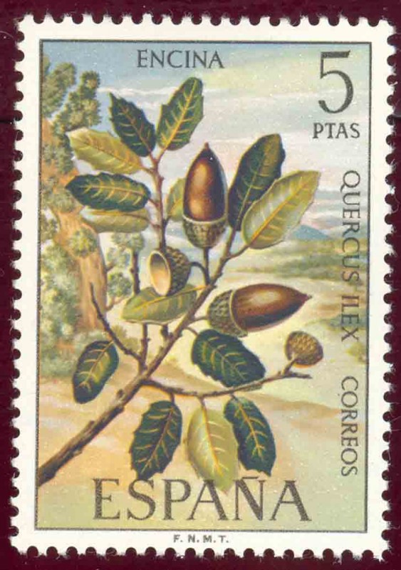 1972 Flora. Encina - Edifil:2088