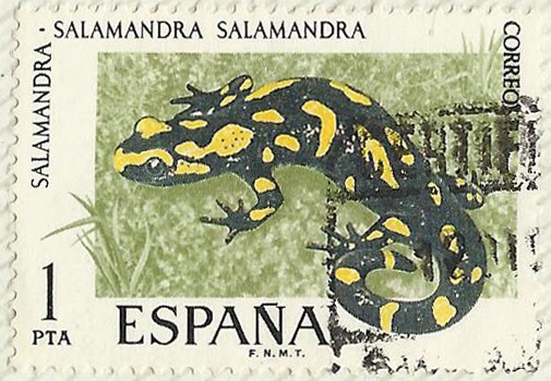 SALAMANDRA