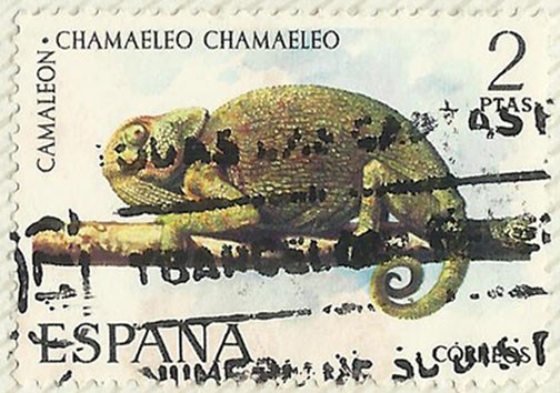 CAMALEON