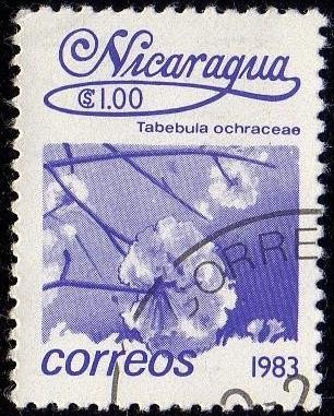 Tabebula ochraceae