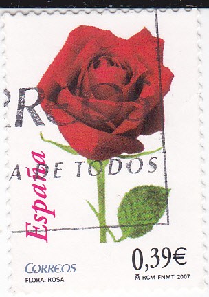 Flora-Rosa    (L)