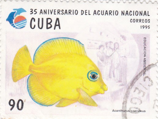 35 Aniversario del Acuario Nacional-