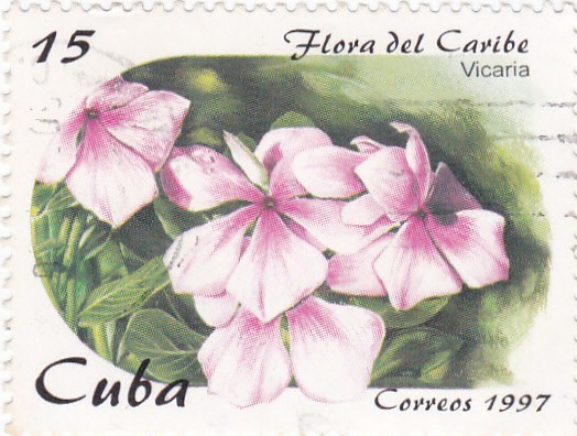 Flora del Caribe- Vicaria