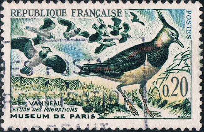 PÁJAROS. AVEFRÍA. Y&T Nº 1273