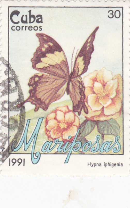 Mariposas- Hypna iphigenia