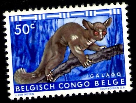 Congo Belga - Africa