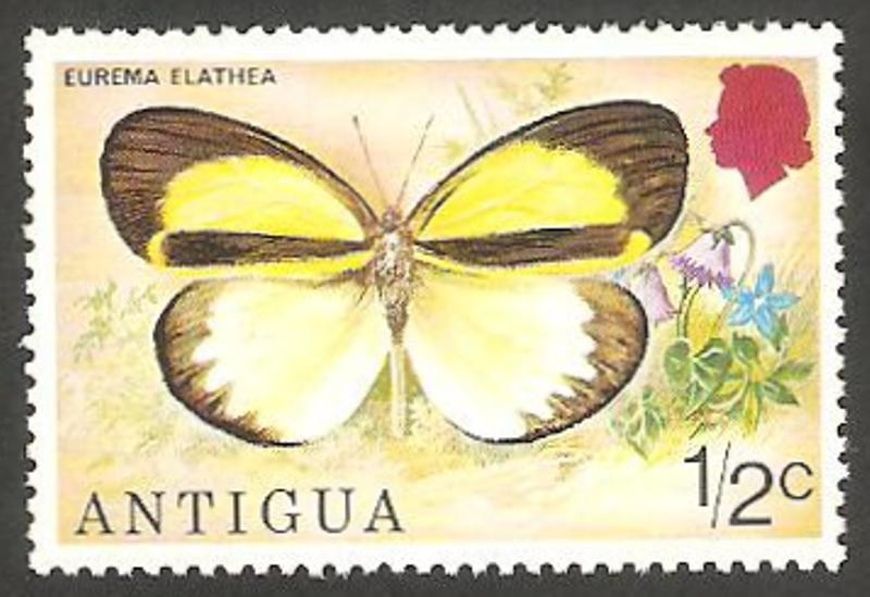379 - Mariposa eurema elathea