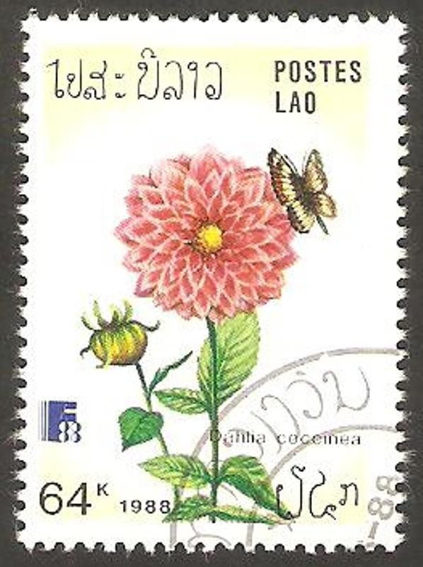Flor dahlia coccinea