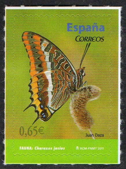 4622- Fauna. Mariposas. Caraxes jasius.