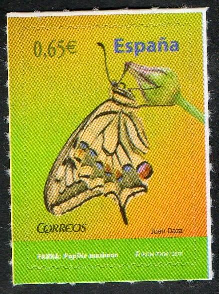 4624- Fauna. Mariposas. Argynnis adipe.