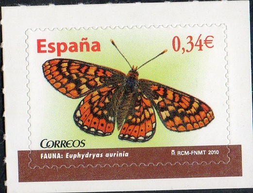 4534- Fauna. Mariposas. Euphydryas aurunia.