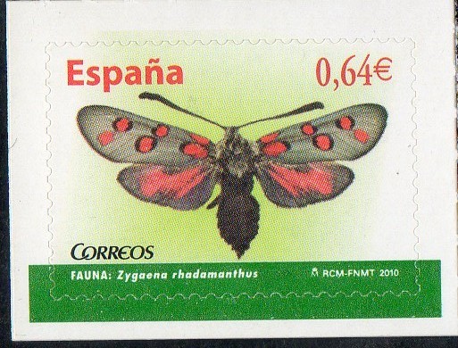 4535- Fauna. Mariposas. Zygaena radhamanthus.