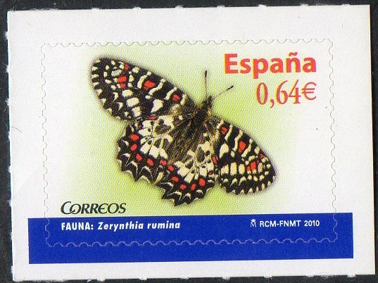 4536- Fauna. Mariposas. Zerynthina rumina.