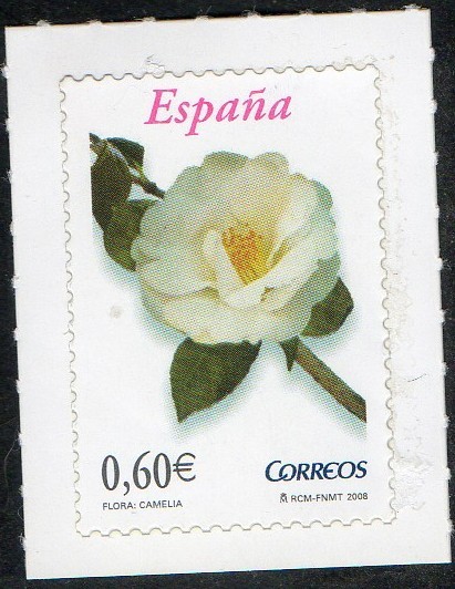 4382- Flora y fauna. Camelia.