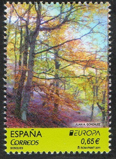 4645- Europa. Imagen otoñal el Hayedo de Pedrosa. ( Segovia ).