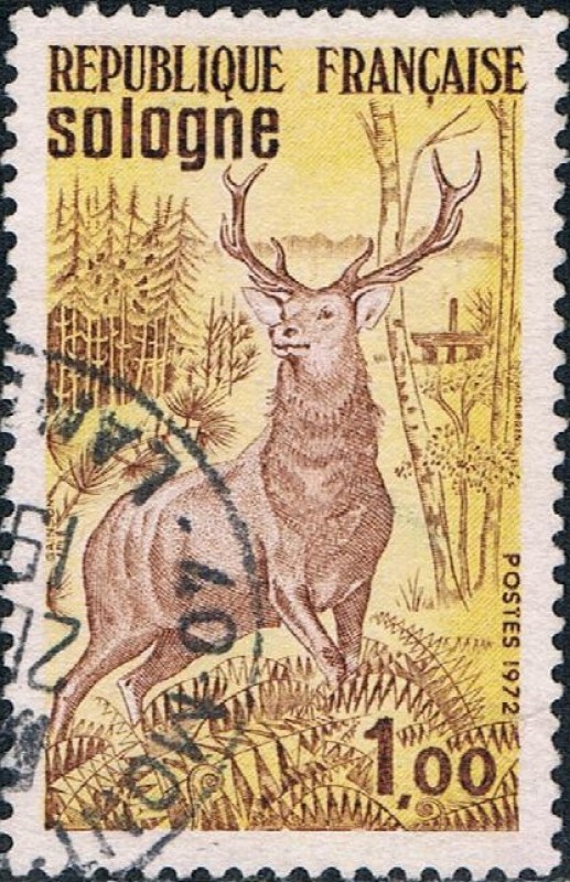 TURISMO 1972. SOLOGNE. Y&T Nº 1725