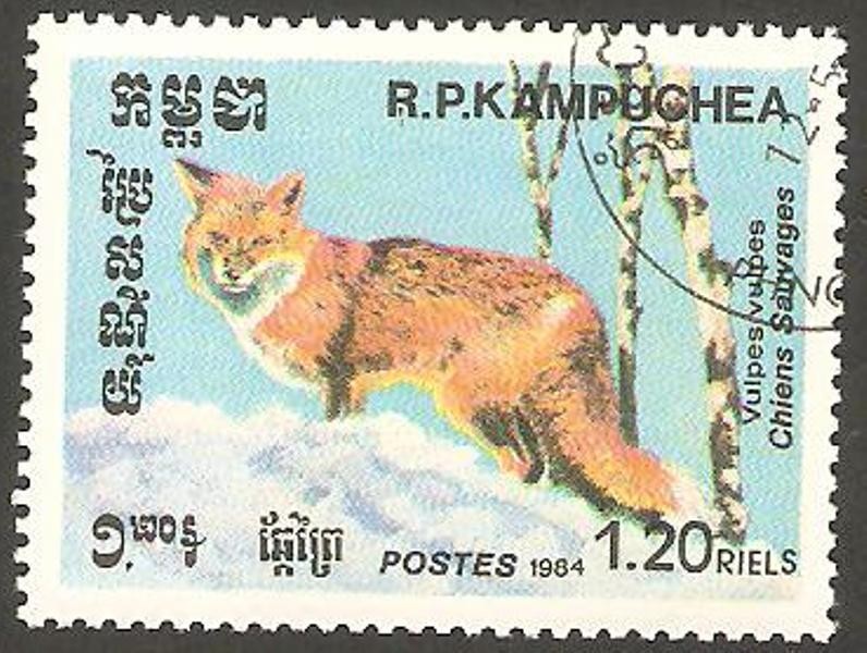 Kampuchea - Perro salvaje