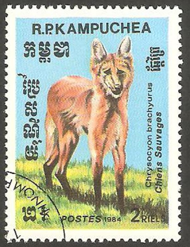 Kampuchea - Perro salvaje