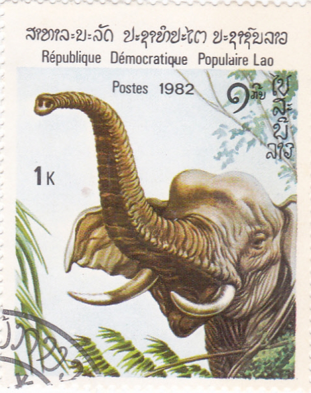 ELEFANTE