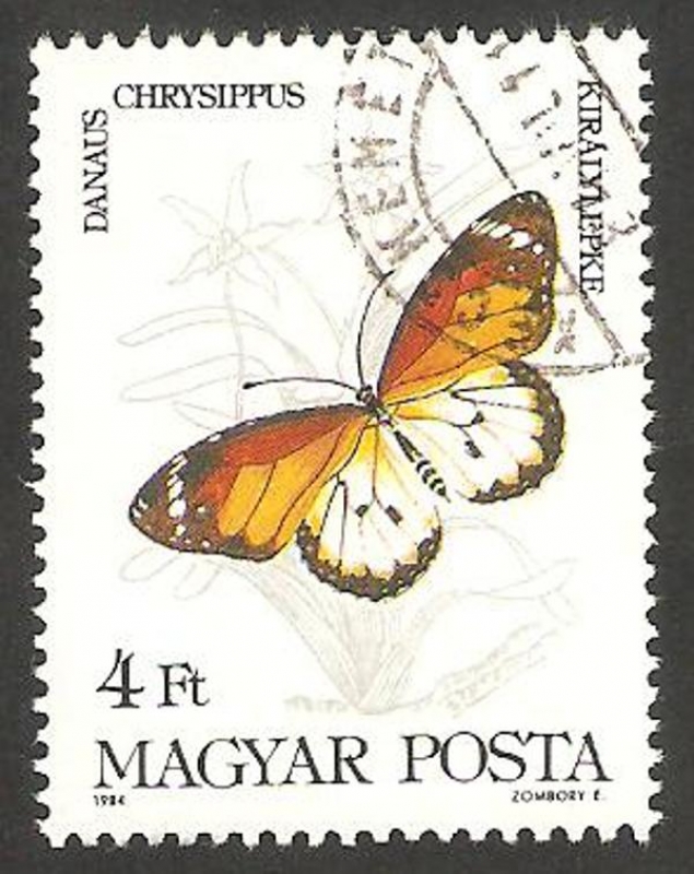 2915 - mariposa danaus chrysippus