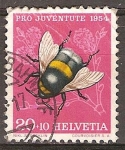 Pro juventud (abeja).