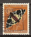 Pro juventud (mariposas-polillas).