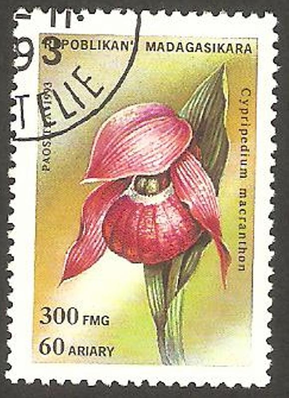 Flor