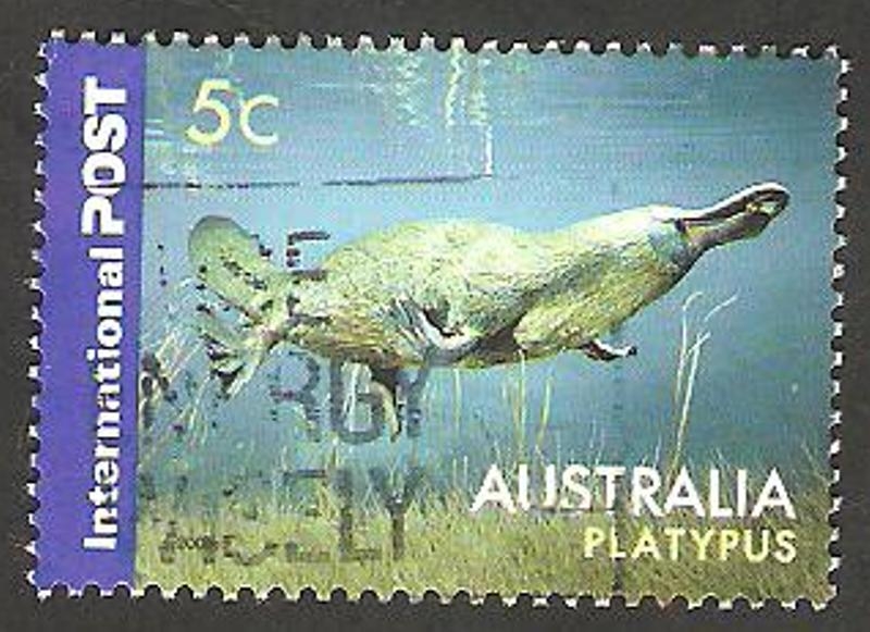 2418 - Fauna salvaje australiana, ornitorinco