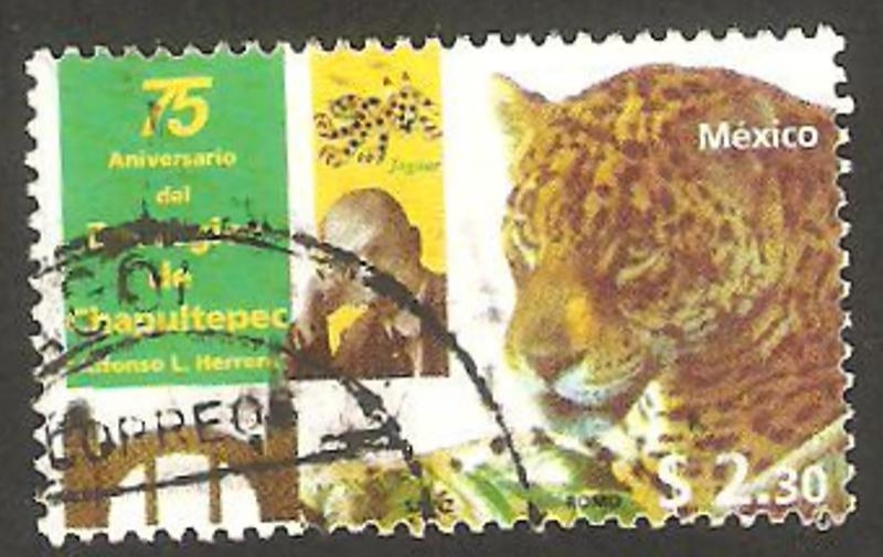 1795 - 75 Anivº del Jardín Zoológico de Chapultepec, un jaguar