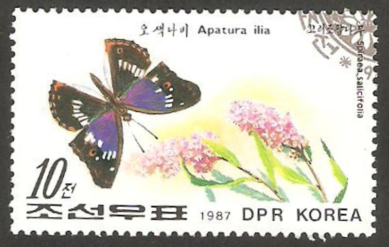 Mariposa y flor