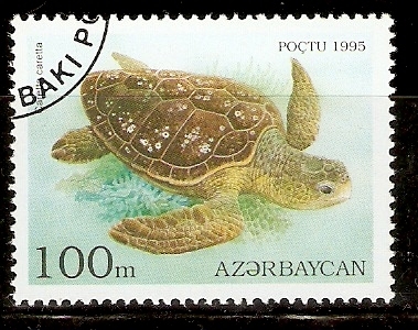 CARETTA   CARETTA