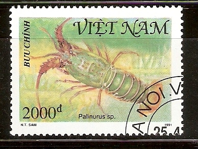 PALINURUS