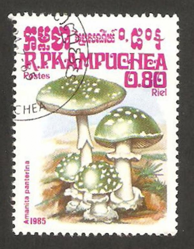 Kampuchea - 578 - Champiñón amanita panterina