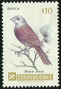 DIUCA