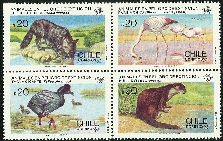 ANIMALES EN PELIGRO DE EXTINCION