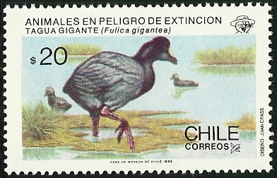 TAGUA GIGANTE - ANIMALES EN PELIGRO DE EXTINCION