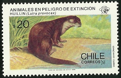 HUILLIN - ANIMALES EN PELIGRO DE EXTINCION