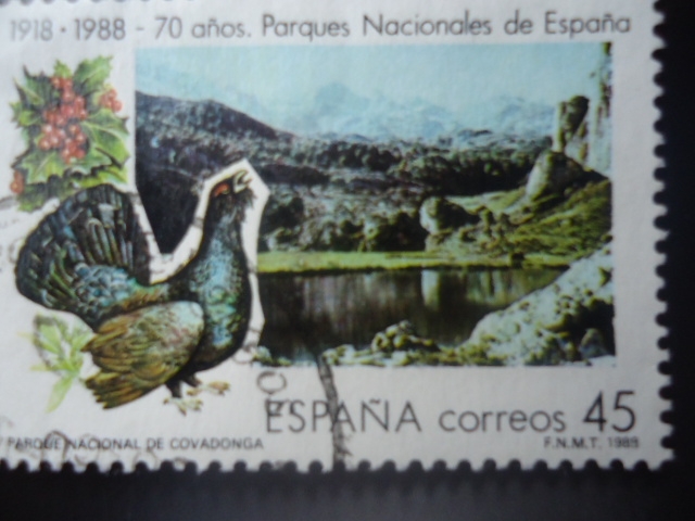 Ed:2937- 1918-1988- (70 Años), Parques Nacionales de España. Parque¨Nacional de Covadonga