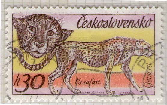 136 Gepard
