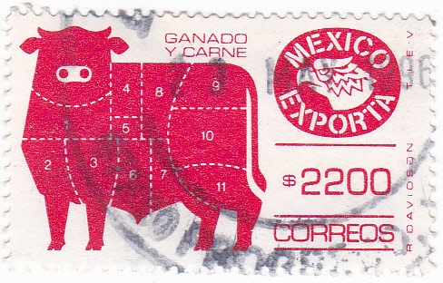 MÉXICO EXPORTA-GANADO Y CARNE