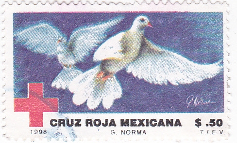 CRUZ ROJA MEXICANA