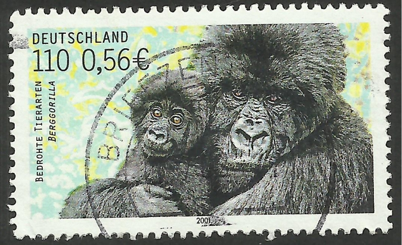 Gorilas
