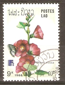 ALTHAEA  ROSEA