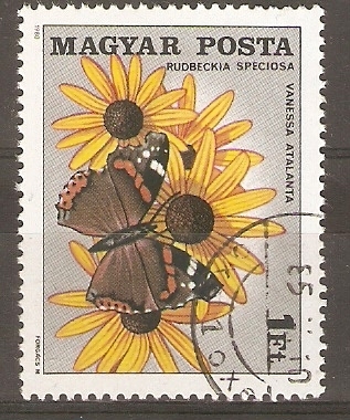 MARIPOSA  Y  MARGARITAS