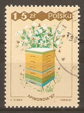 COLMENA  DE  ABEJAS