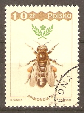 ABEJA  OBRERA