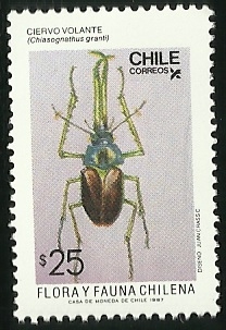 CIERVO VOLANTE - FLORA Y FAUNA DE CHILE