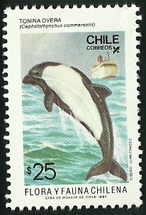 TONINA OVERA - FLORA Y FAUNA DE CHILE