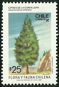 CIPRES DE LA CORDILLERA - FLORA Y FAUNA DE CHILE