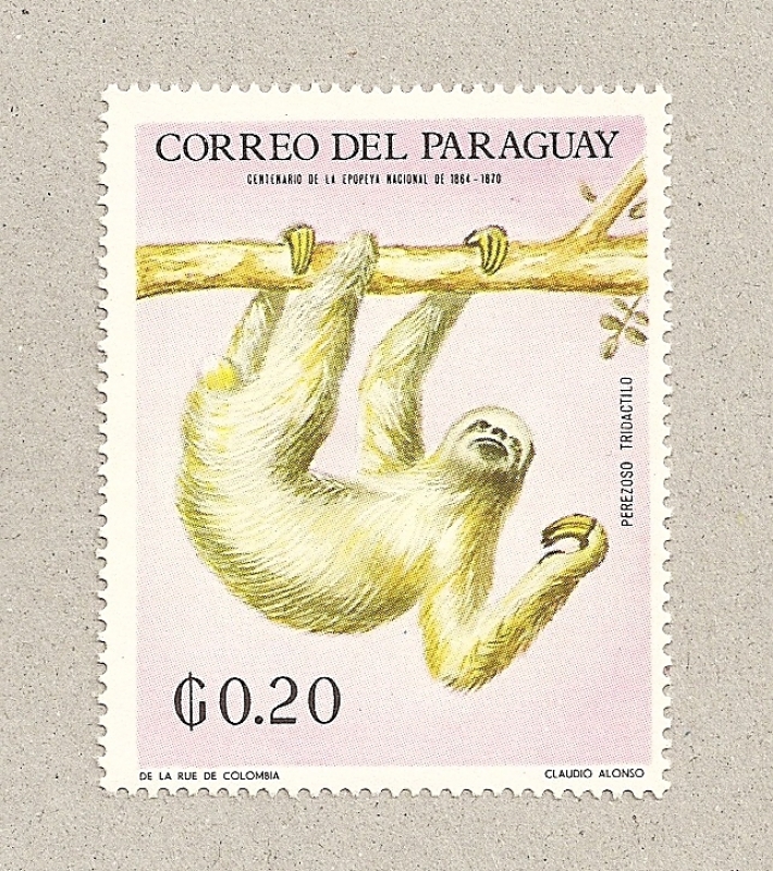 Perezoso tridactilo